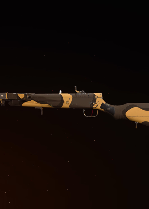 Best Vanguard Type 100 Loadouts: The Best Type 100 Attachments