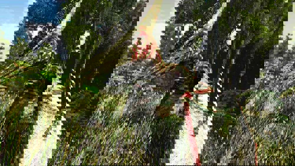 How To Tame A Pteranodon In ARK Survival Evolved