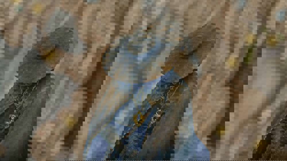 Elden Ring Shadow of the Erdtree: Dryleaf Dane NPC quest walkthrough