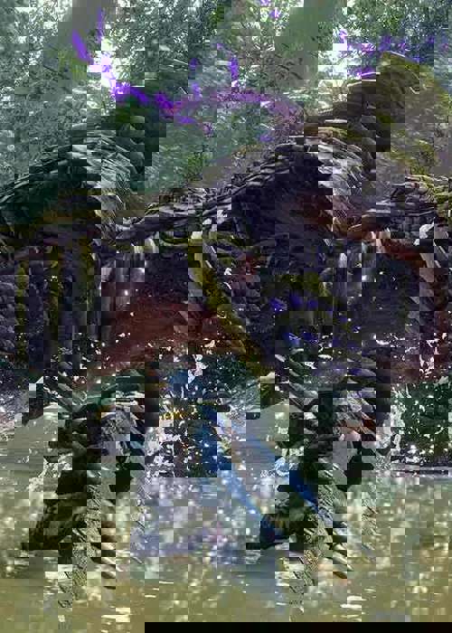 How to get the best weapon in Monster Hunter Rise