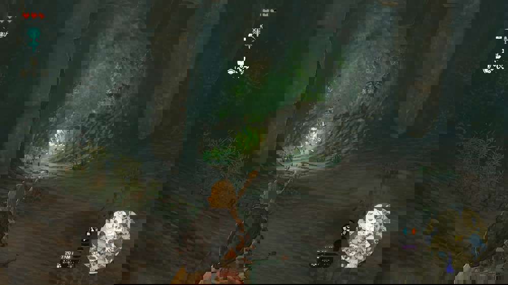 How to get & use Brightbloom Seeds in Zelda: Tears of the Kingdom