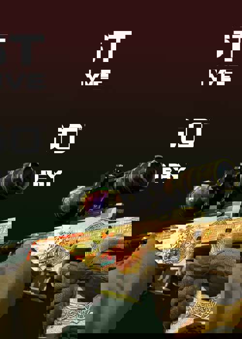 Who has the most expensive CS:GO inventory?