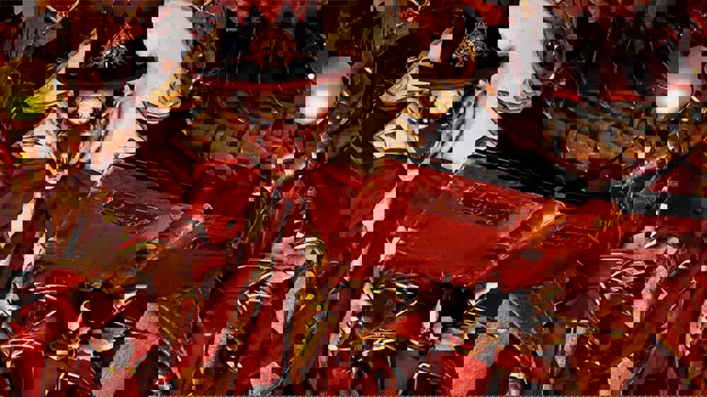 Lost Ark July 2023 patch notes: Kakul-Saydon Inferno mode, Elgacia epilogue, updates, bug fixes & more