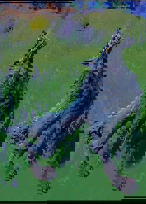 How to find and tame animals in Fortnite