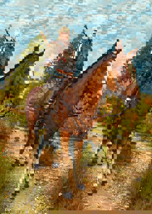 The Witcher 3: Where The Cat And Wolf Play Walkthrough