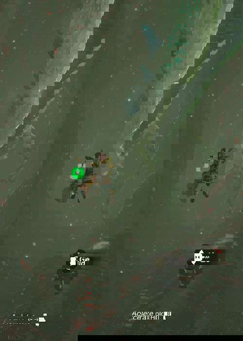 What are Chasms in Zelda: Tears of the Kingdom?