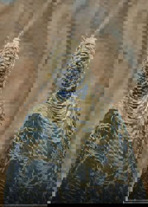 Elden Ring Shadow of the Erdtree: Hornsent NPC quest walkthrough