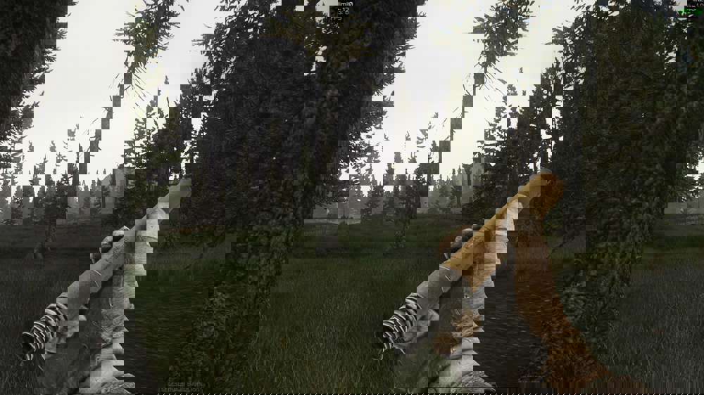 Learn how flares work in Escape From Tarkov & how to use them