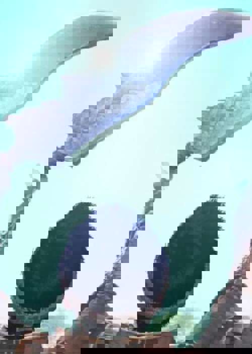 All Monster Hunter Now codes & referrals to get Zenny, Potions & more