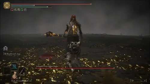 Elden Ring Elden Beast radagon