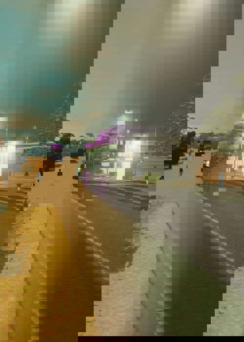 Cities Skylines First Person Mod: How To Download And Use