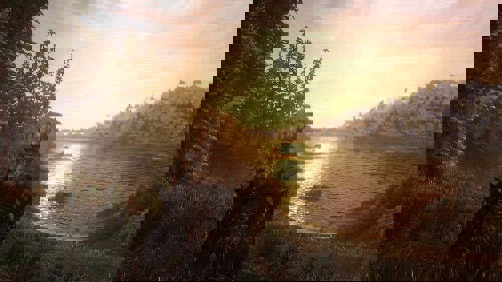 Skyrim Is Only A Great Game Because Of Mods