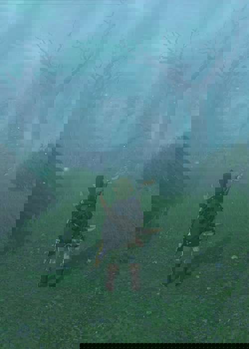 How to get through the Lost Woods in Zelda: Tears of the Kingdom