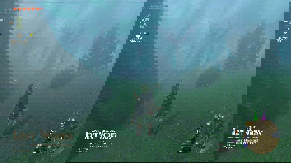 How to get through the Lost Woods in Zelda: Tears of the Kingdom