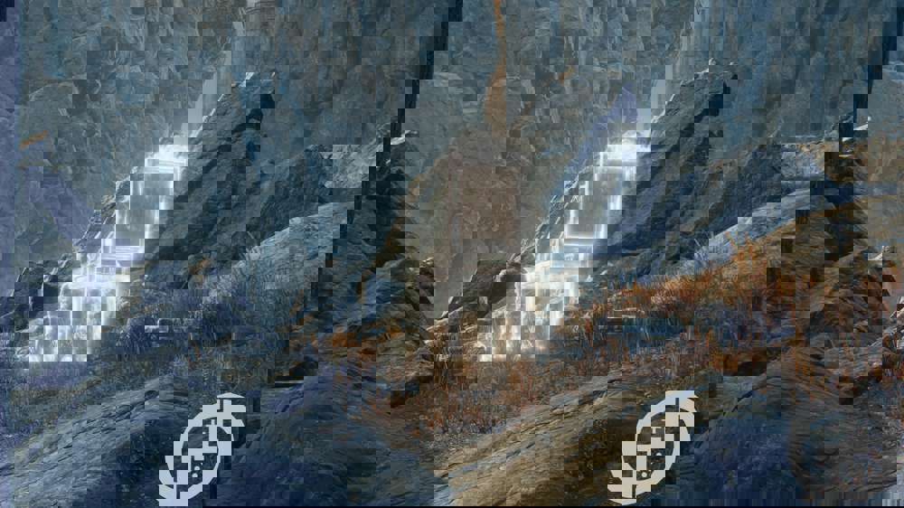 Elden Ring Shadow of the Erdtree: All painting locations