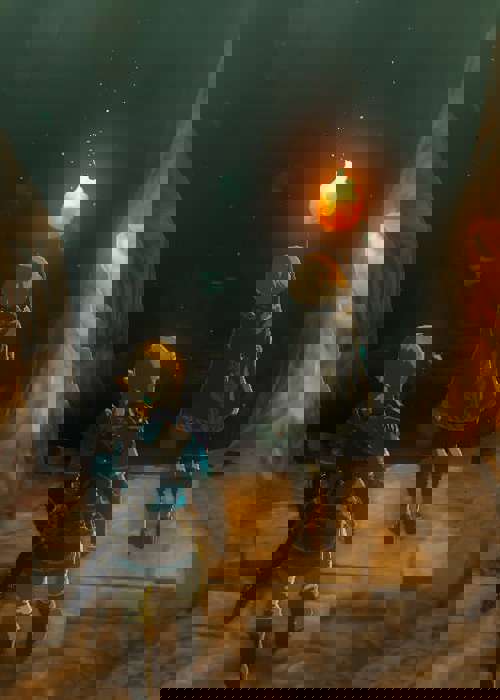 Where to farm Bomb Flowers in Zelda: Tears Of The Kingdom