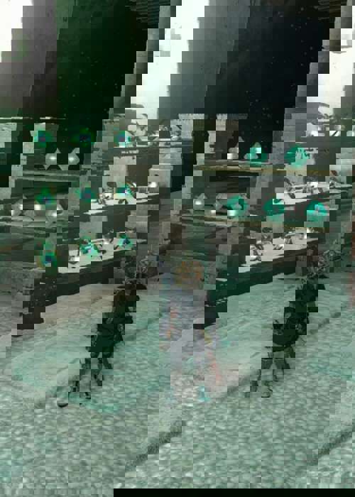 How to upgrade Energy Cells in Zelda: Tears of the Kingdom