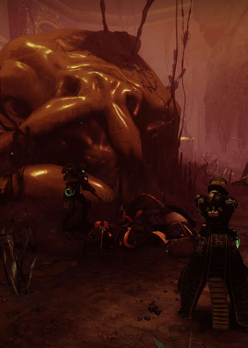 How to find Calus Bobbleheads in Destiny 2