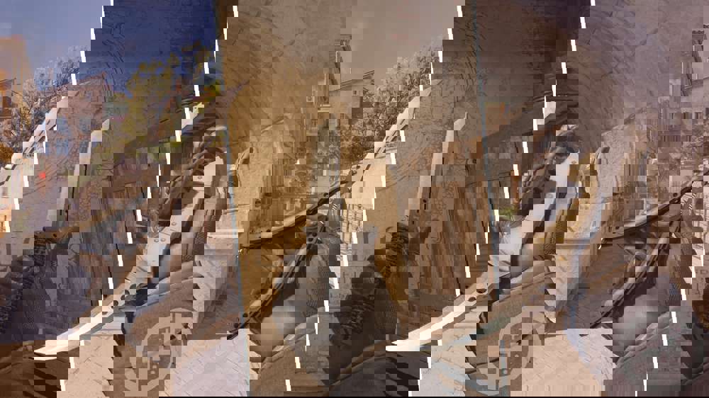 Counter-Strike 2 knife commands list & how to test them for free