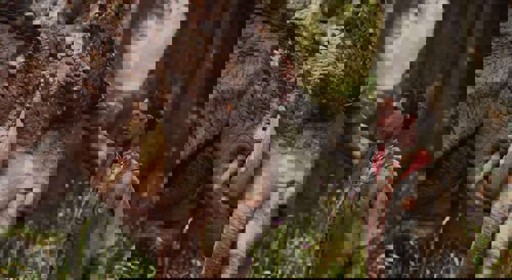 Hogwarts Legacy Release Date, Gameplay Trailers, And Platforms