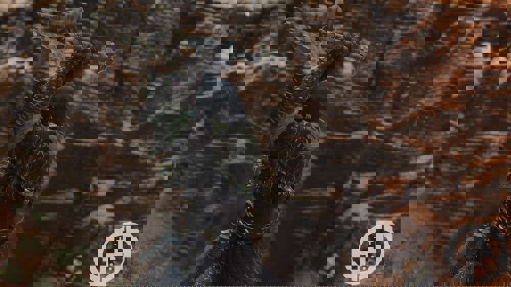 Best Mystic Spearhand build in Dragon's Dogma 2, including skills & weapons