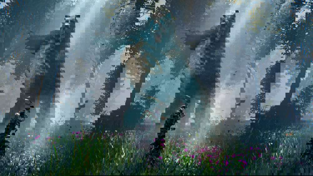 Elden Ring Best Settings: How To Fix Stuttering And Improve FPS