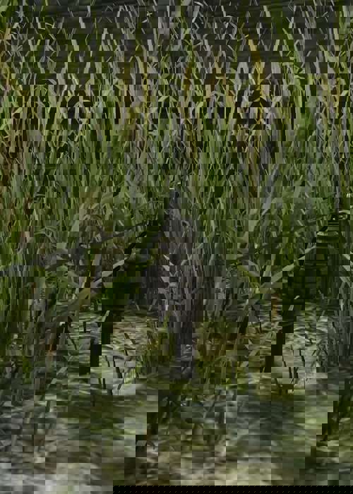 Escape from Tarkov: How to get & use tripwires