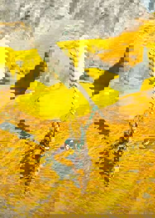 Zelda: Tears of the Kingdom Fuse Recycling explained - Which weapons can use it?